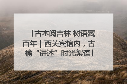 古木阅吉林 树语藏百年｜西关宾馆内，古榆“讲述”时光絮语