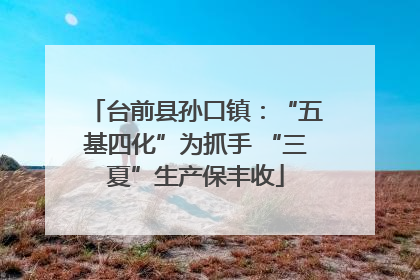 台前县孙口镇：“五基四化”为抓手 “三夏”生产保丰收