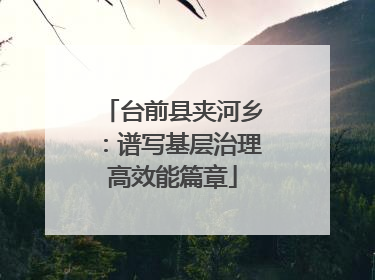 台前县夹河乡：谱写基层治理高效能篇章
