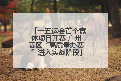 十五运会首个竞体项目开赛 广州赛区“高质量办赛”进入实战阶段