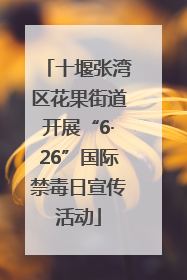 十堰张湾区花果街道开展“6·26”国际禁毒日宣传活动