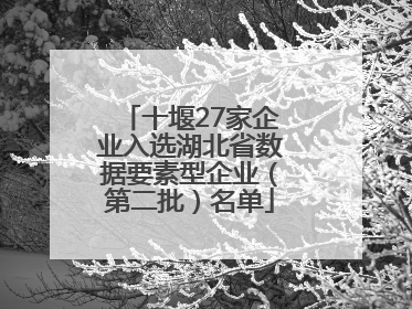 十堰27家企业入选湖北省数据要素型企业（第二批）名单