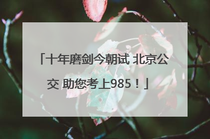 十年磨剑今朝试 北京公交 助您考上985！