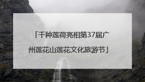 千种莲荷亮相第37届广州莲花山莲花文化旅游节