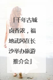千年古城卤香浓，福地武冈在长沙举办旅游推介会
