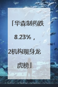 华森制药跌8.23%，2机构现身龙虎榜