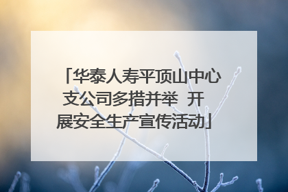 华泰人寿平顶山中心支公司多措并举  开展安全生产宣传活动