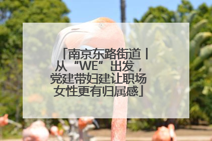 南京东路街道丨从“WE”出发，党建带妇建让职场女性更有归属感