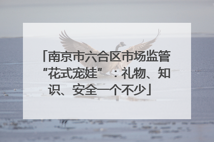 南京市六合区市场监管“花式宠娃”：礼物、知识、安全一个不少