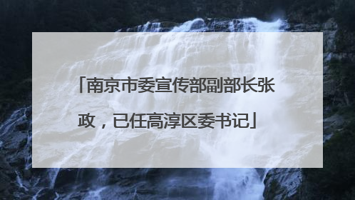 南京市委宣传部副部长张政，已任高淳区委书记