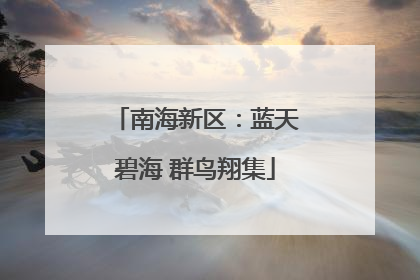 南海新区：蓝天碧海 群鸟翔集