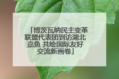 博茨瓦纳民主变革联盟代表团到访湖北嘉鱼 共绘国际友好交流新画卷