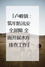 卢峰镇：筑牢防汛安全屏障 全面开展水库排查工作