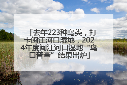 去年223种鸟类，打卡闽江河口湿地，2024年度闽江河口湿地“鸟口普查”结果出炉