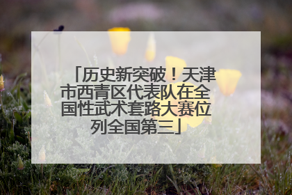 历史新突破！天津市西青区代表队在全国性武术套路大赛位列全国第三
