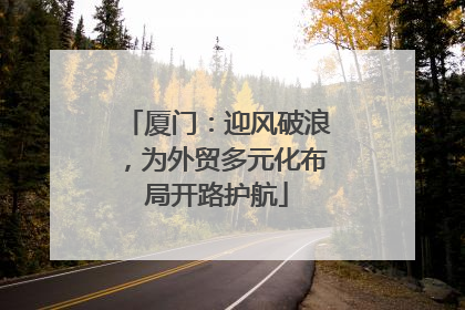 厦门：迎风破浪，为外贸多元化布局开路护航