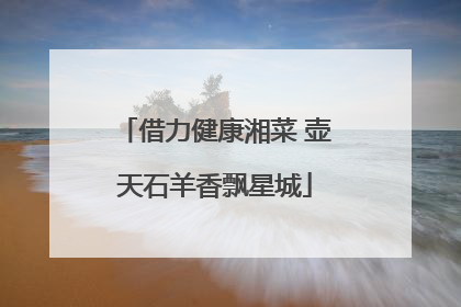 借力健康湘菜 壶天石羊香飘星城