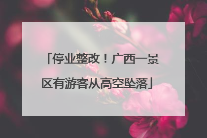 停业整改！广西一景区有游客从高空坠落