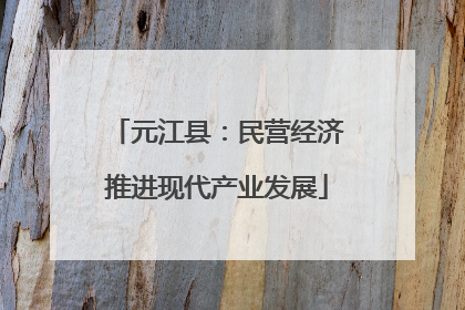 元江县：民营经济推进现代产业发展