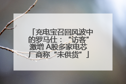 充电宝召回风波中的罗马仕：“访客”激增 A股多家电芯厂商称“未供货”