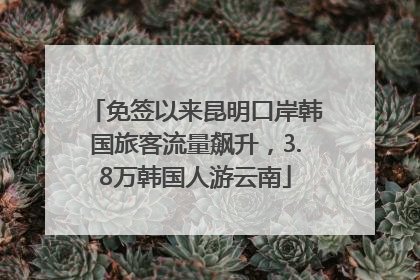 免签以来昆明口岸韩国旅客流量飙升，3.8万韩国人游云南