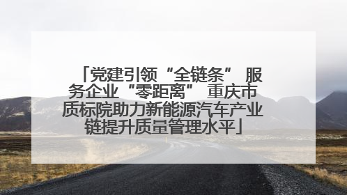 党建引领“全链条” 服务企业“零距离” 重庆市质标院助力新能源汽车产业链提升质量管理水平