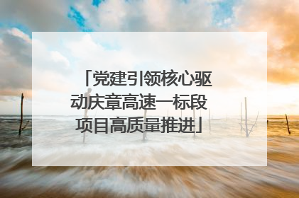 党建引领核心驱动庆章高速一标段项目高质量推进