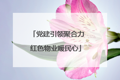 党建引领聚合力 红色物业暖民心
