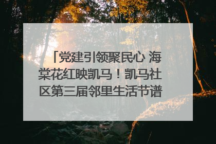 党建引领聚民心 海棠花红映凯马！凯马社区第三届邻里生活节谱写幸福新篇章