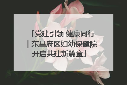 党建引领 健康同行｜东昌府区妇幼保健院开启共建新篇章