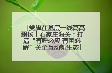 党旗在基层一线高高飘扬丨石家庄海关：打造“有呼必应 有困必解”关企互动新生态