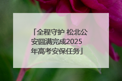 全程守护 松北公安圆满完成2025年高考安保任务