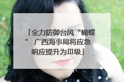全力防御台风“蝴蝶” 广西海事局将应急响应提升为Ⅲ级
