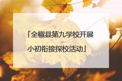 全椒县第九学校开展小初衔接探校活动