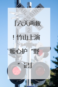 六天两救！竹山上演暖心护“野”记