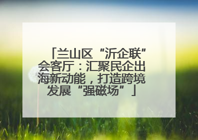 兰山区“沂企联”会客厅：汇聚民企出海新动能，打造跨境发展“强磁场”