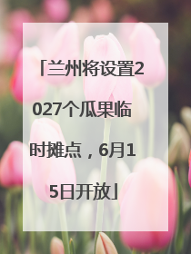 兰州将设置2027个瓜果临时摊点，6月15日开放