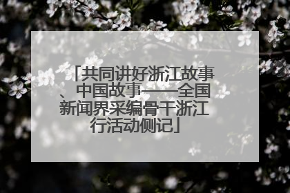 共同讲好浙江故事、中国故事——全国新闻界采编骨干浙江行活动侧记