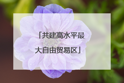 共建高水平最大自由贸易区