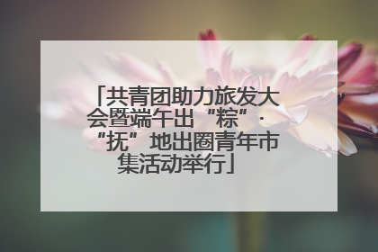 共青团助力旅发大会暨端午出“粽”·“抚”地出圈青年市集活动举行