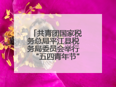 共青团国家税务总局平江县税务局委员会举行“五四青年节”主题团日活动