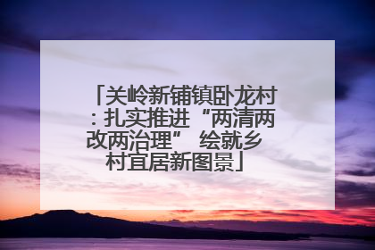 关岭新铺镇卧龙村：扎实推进“两清两改两治理” 绘就乡村宜居新图景