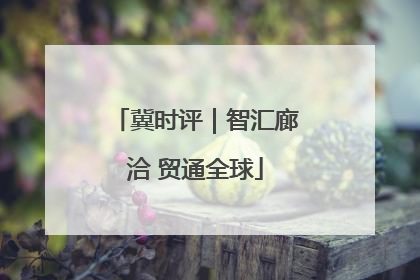 冀时评｜智汇廊洽 贸通全球
