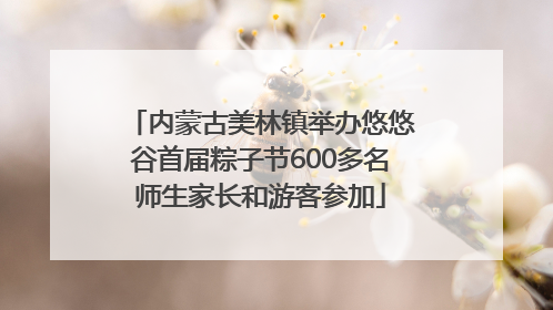内蒙古美林镇举办悠悠谷首届粽子节600多名师生家长和游客参加
