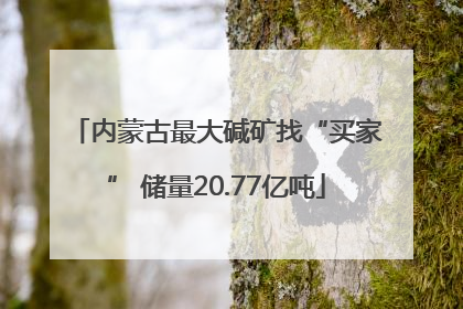 内蒙古最大碱矿找“买家” 储量20.77亿吨