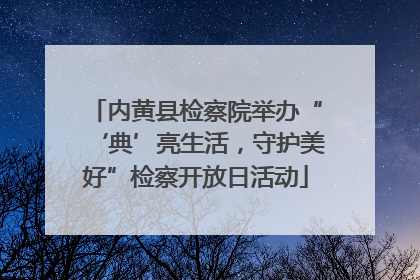 内黄县检察院举办“‘典’亮生活，守护美好”检察开放日活动