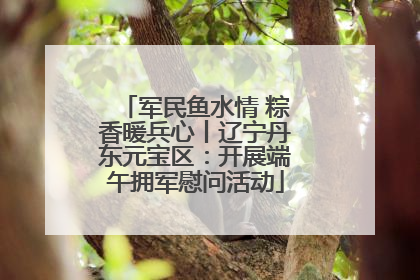 军民鱼水情 粽香暖兵心丨辽宁丹东元宝区：开展端午拥军慰问活动