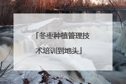 冬枣种植管理技术培训到地头