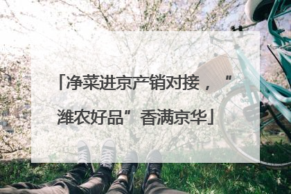 净菜进京产销对接，“潍农好品”香满京华