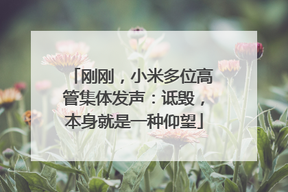刚刚，小米多位高管集体发声：诋毁，本身就是一种仰望